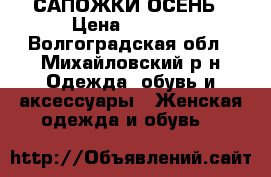 САПОЖКИ ОСЕНЬ › Цена ­ 3 900 - Волгоградская обл., Михайловский р-н Одежда, обувь и аксессуары » Женская одежда и обувь   